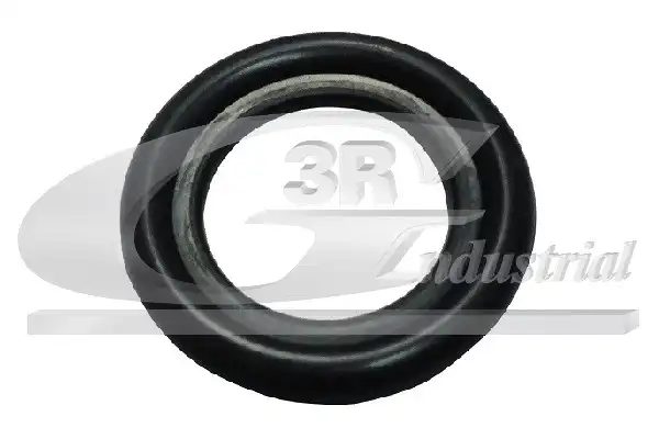 3RG 80066