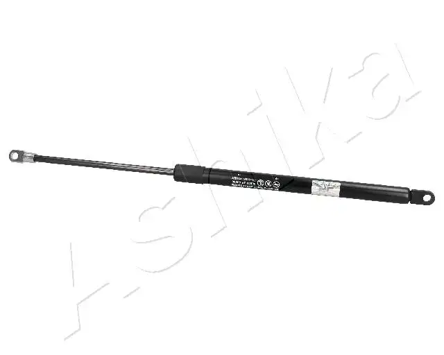 ASHIKA ZSA80000