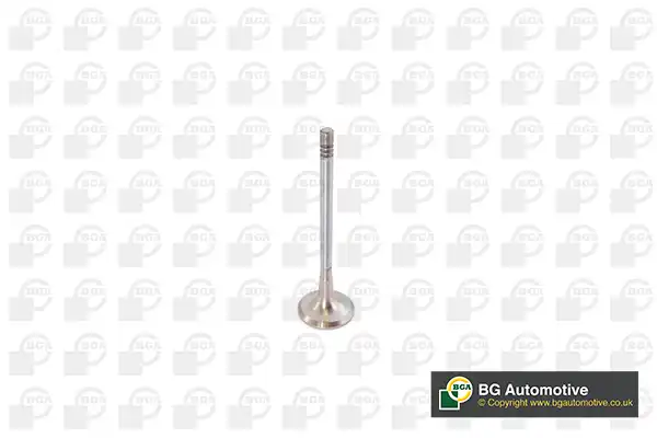 BGA V142050