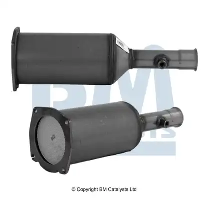 BM CATALYSTS BM11011