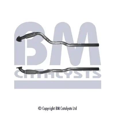 BM CATALYSTS BM50080