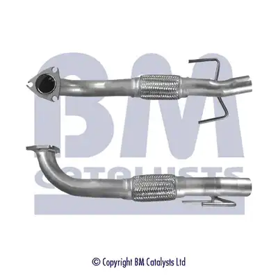 BM CATALYSTS BM50111