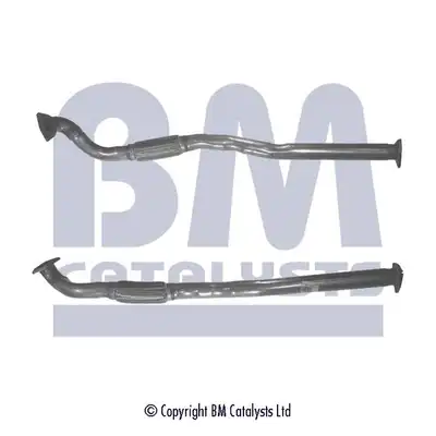 BM CATALYSTS BM50159