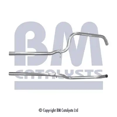 BM CATALYSTS BM50255