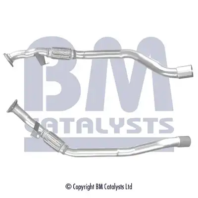 BM CATALYSTS BM50485