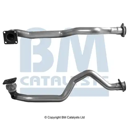 BM CATALYSTS BM70296