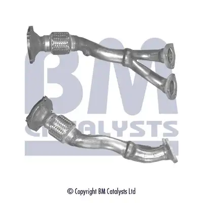 BM CATALYSTS BM70410