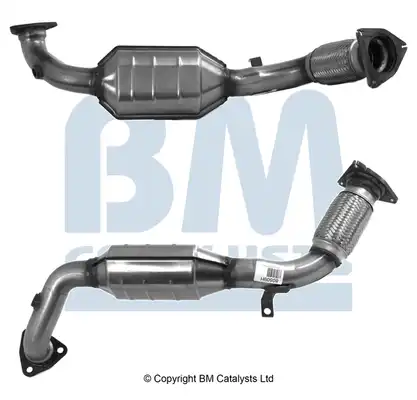 BM CATALYSTS BM80509H