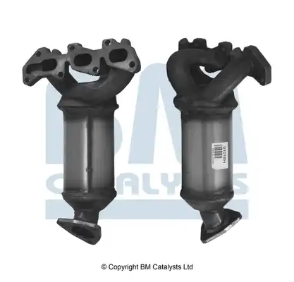 BM CATALYSTS BM91018H