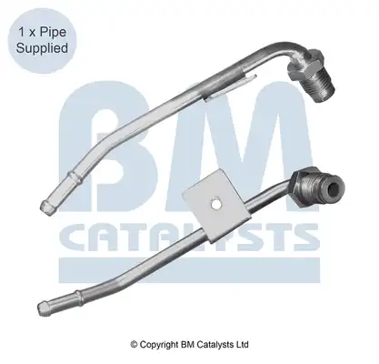BM CATALYSTS PP11013A