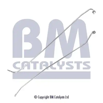 BM CATALYSTS PP11016B