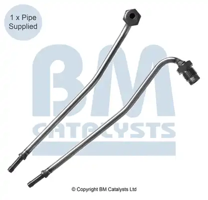 BM CATALYSTS PP31021A