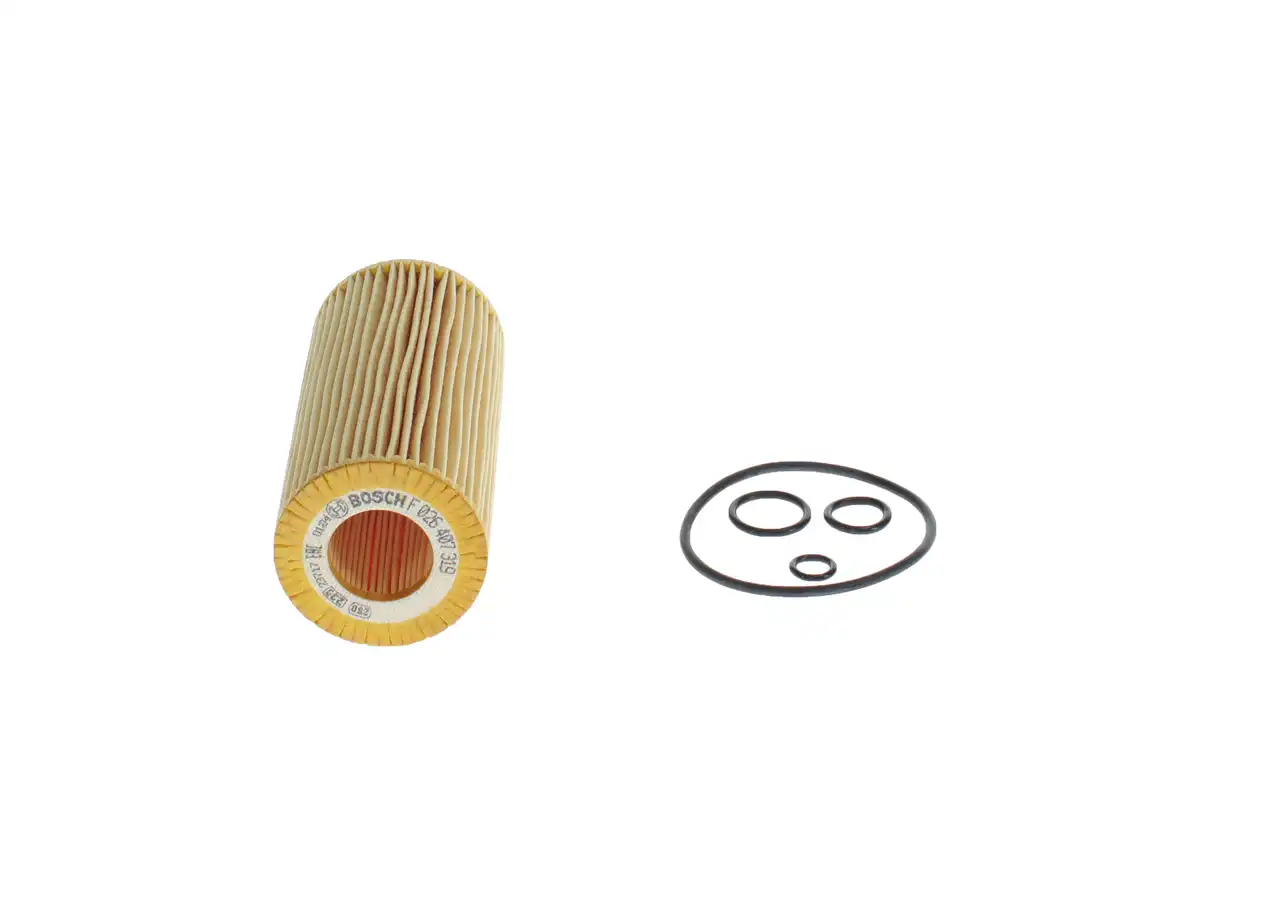 BOSCH F 026 407 319