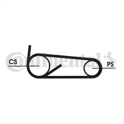 CONTITECH 4PK922 ELAST T1