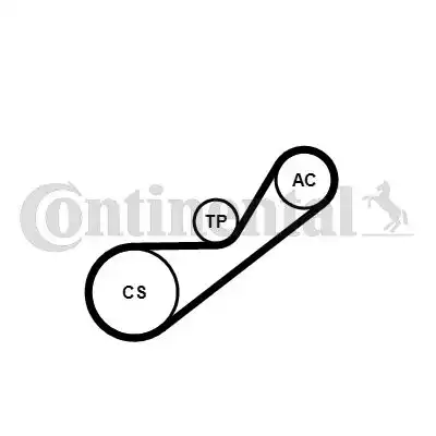 CONTITECH 4PK925K1