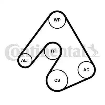 CONTITECH 5PK1207WP1