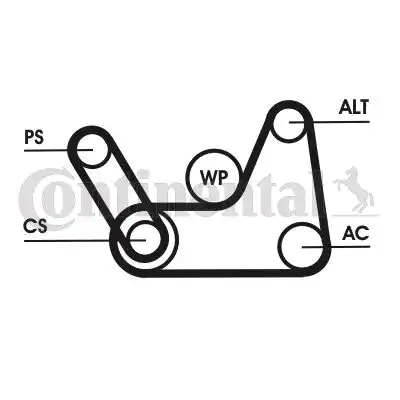 CONTITECH 6PK1019 ELAST T1