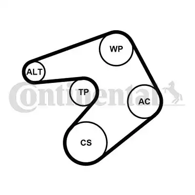 CONTITECH 6PK1244K1