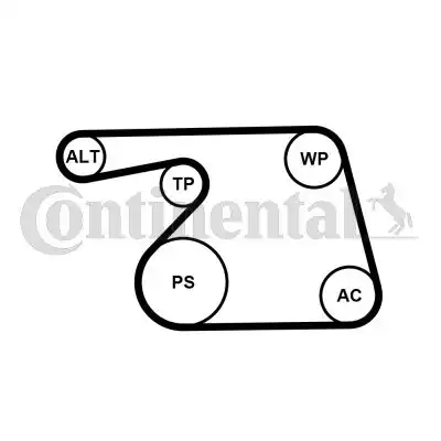 CONTITECH 6PK1318WP1