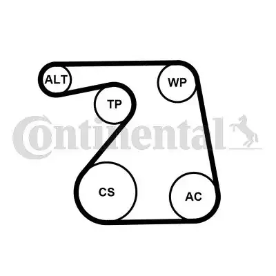 CONTITECH 6PK1360WP1