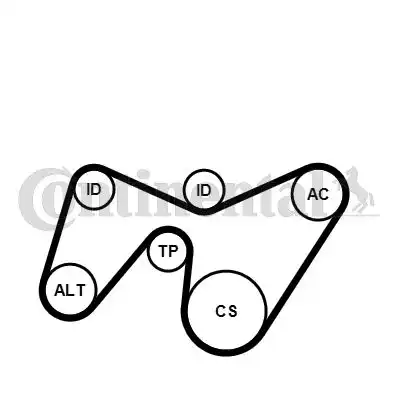 CONTITECH 6PK1642K2