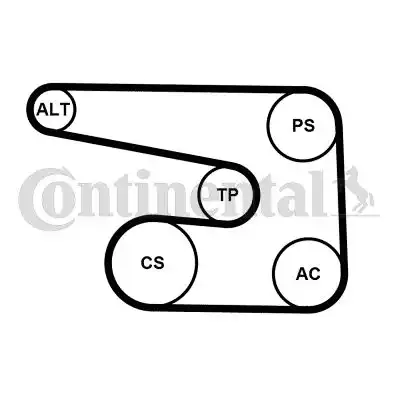 CONTITECH 6PK1873K5