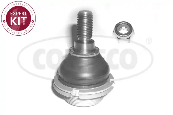 CORTECO 49400541
