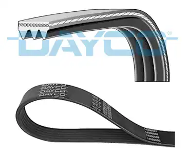 DAYCO 3PK576EE