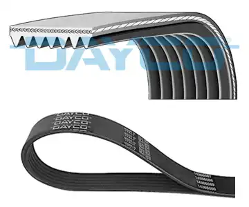 DAYCO 7PK1051EE