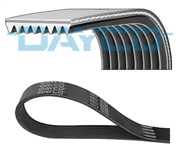DAYCO 8PK2575HD