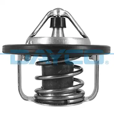 DAYCO DT1236V