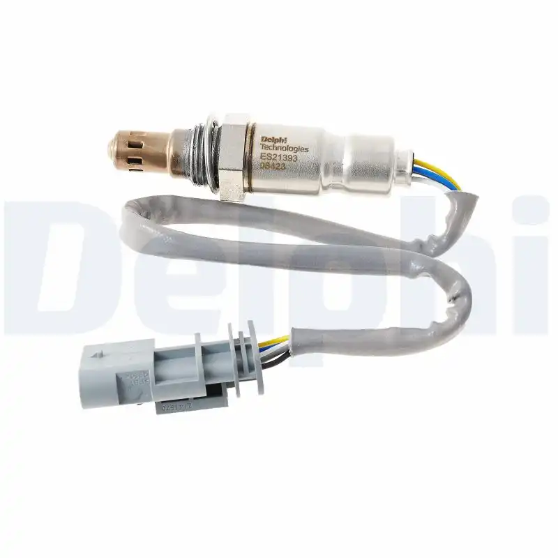 DELPHI ES21393-12B1