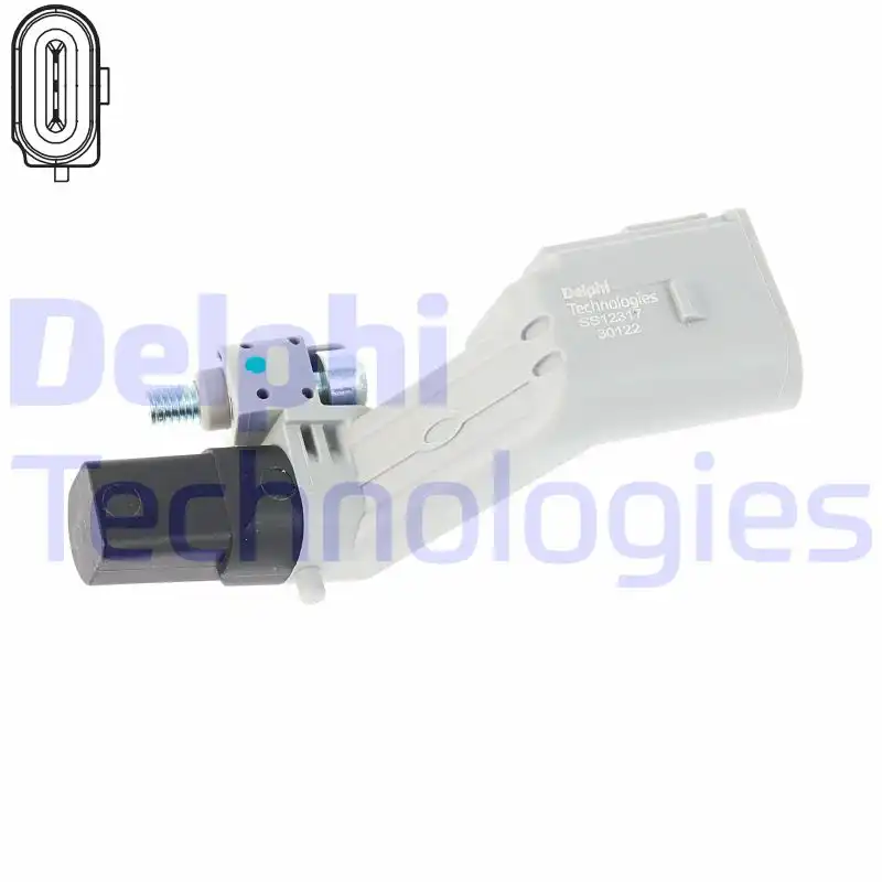 DELPHI SS12317-12B1