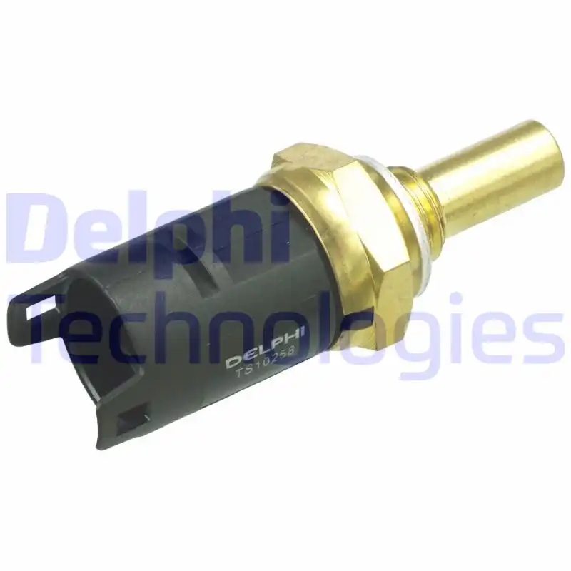 DELPHI TS10258