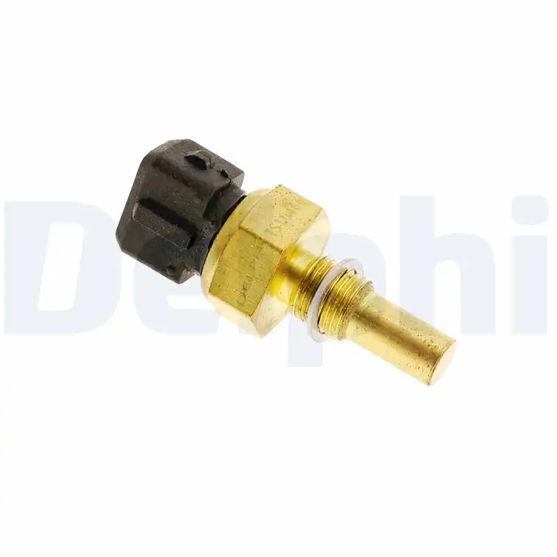 DELPHI TS10466