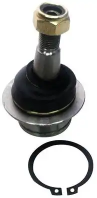 DENCKERMANN D120186