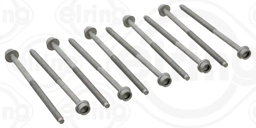 ELRING 725.310