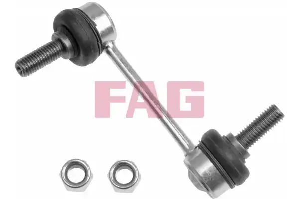 FAG 818 0301 10