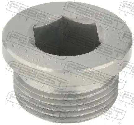 FEBEST 2399-004