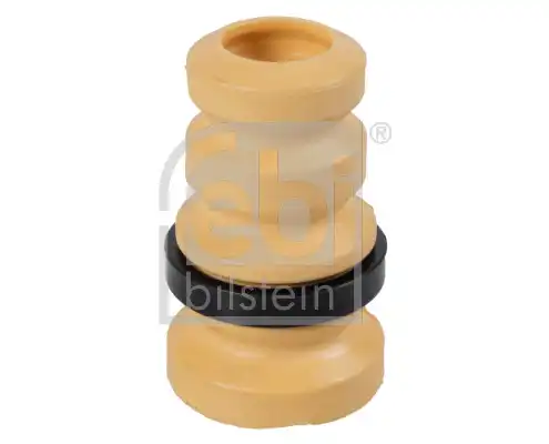 FEBI 173570