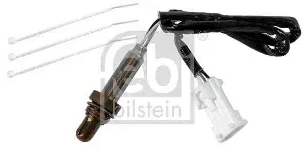 FEBI 175831