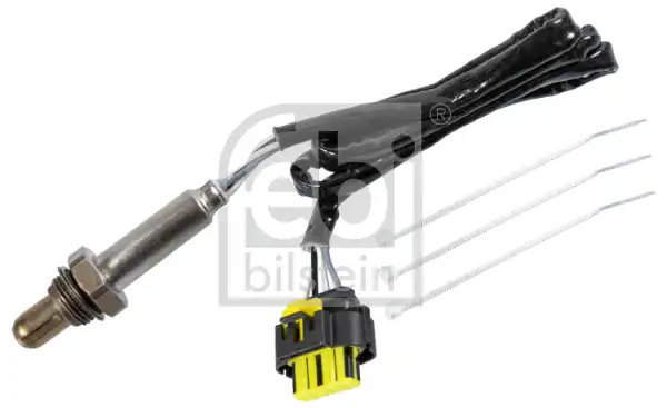 FEBI 175881