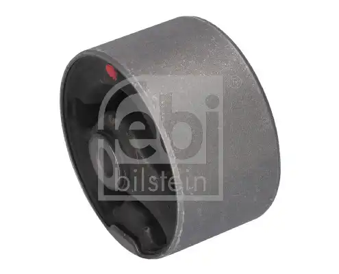 FEBI 181509