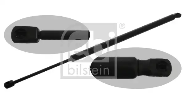 FEBI 38519