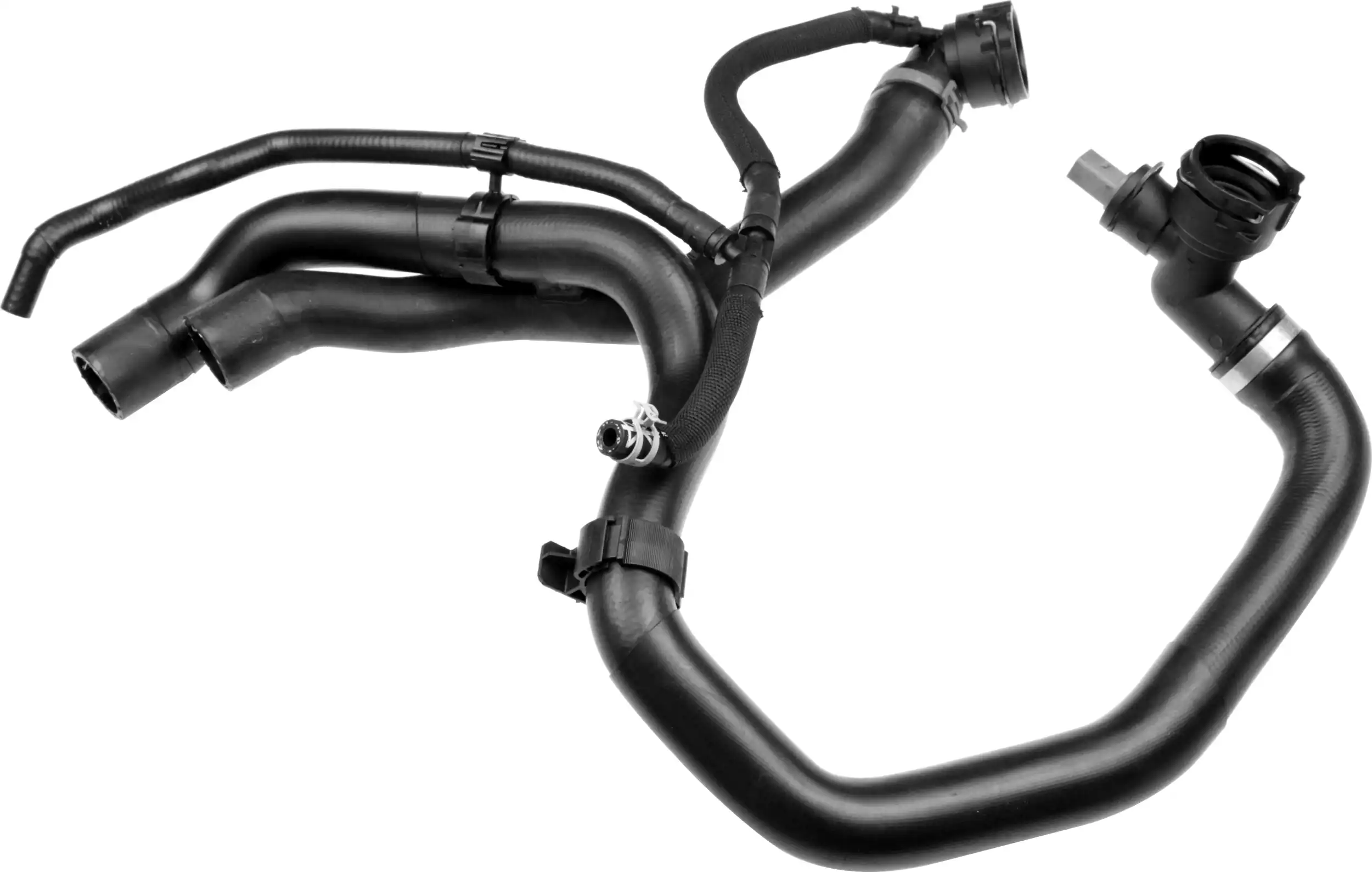 GATES 05-3953