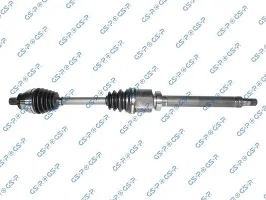GSP 203289