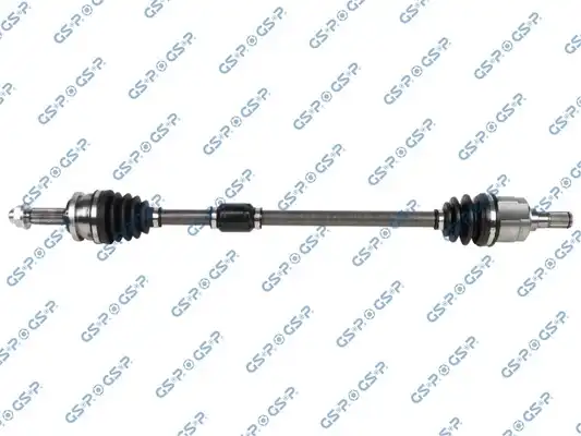 GSP 203725