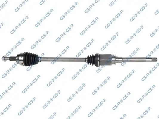 GSP 204059