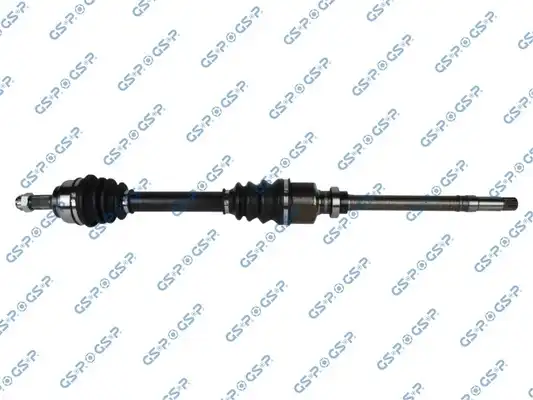 GSP 210205