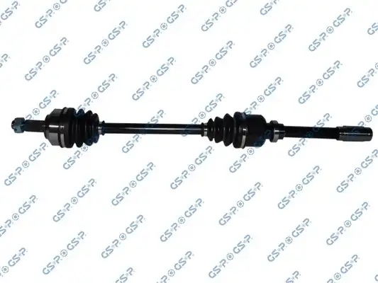 GSP 210425